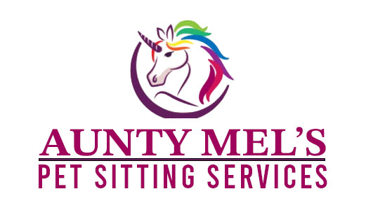 Aunty Mels pet sitting service north devon