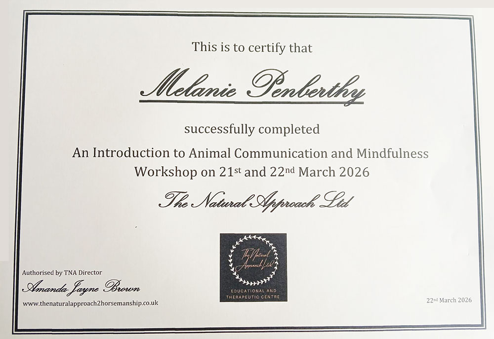 animal communication certificate